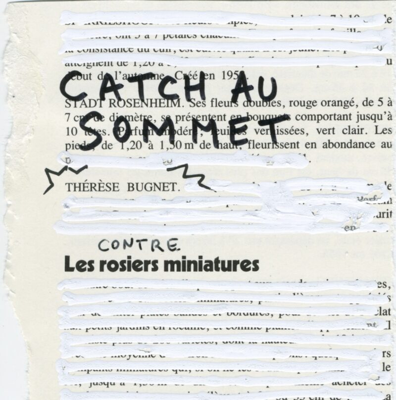 Catch au sommet