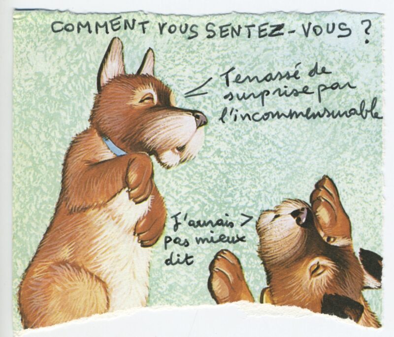 « Comment vous sentez-vous ? »