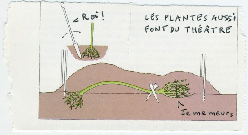 Les plantes aussi font du théâtre